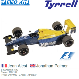 Bouwpakket 1:43 | Tameo TMK111 | Tyrrell 018 1989 - J.Alesi - J.Palmer