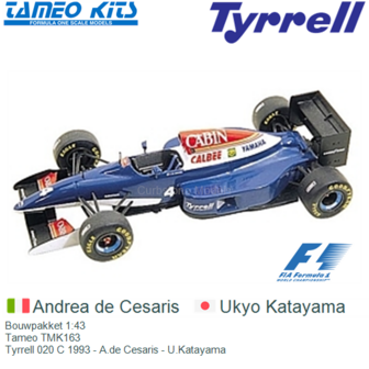 Bouwpakket 1:43 | Tameo TMK163 | Tyrrell 020 C 1993 - A.de Cesaris - U.Katayama