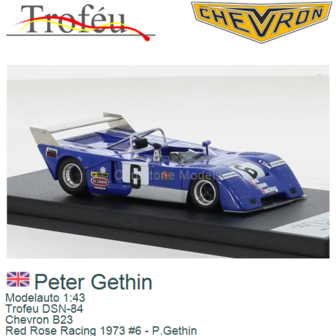 Modelauto 1:43 | Trofeu DSN-84 | Chevron B23 | Red Rose Racing 1973 #6 - P.Gethin